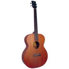 Ashbury Tenor Guitar Solid Sapele GDAE