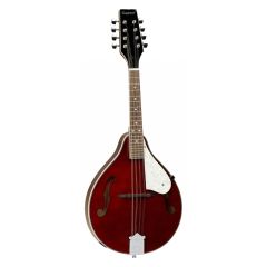Tanglewood Teardrop Mandolin A Style